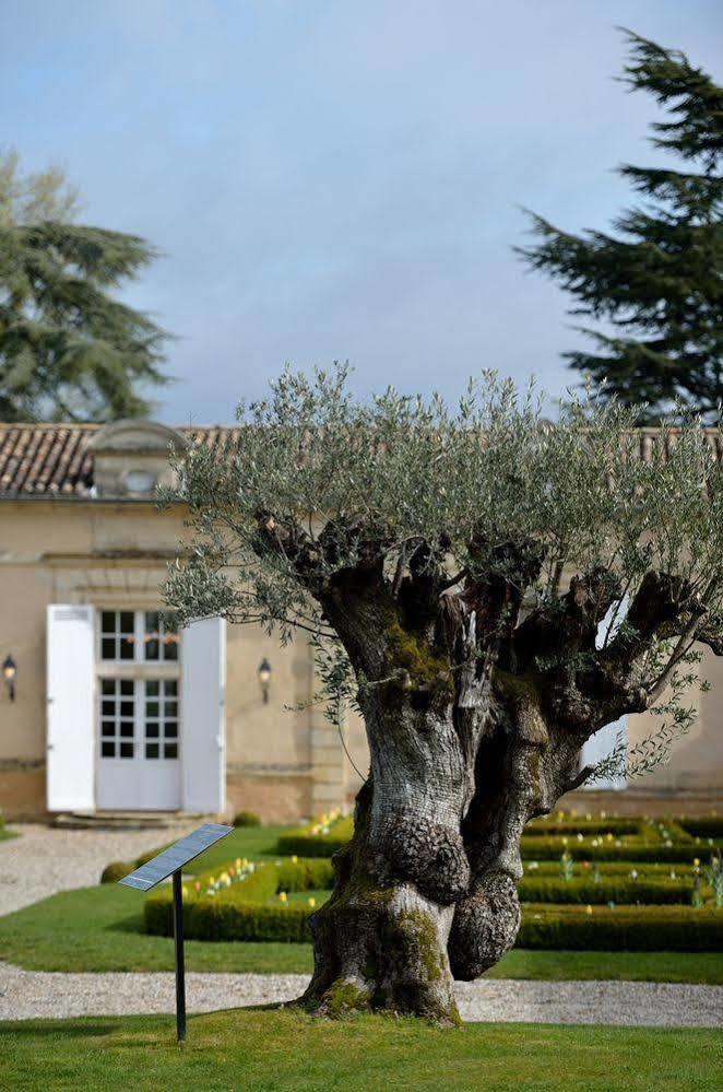 Chateau Fombrauge Saint-Christophe-des-Bardes Exterior foto